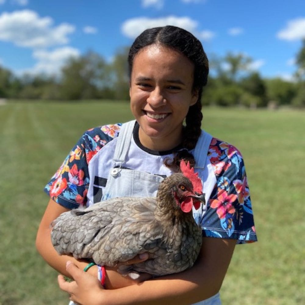 Teen girl holding a Sapphire Gem Chicken lovingly in her arms