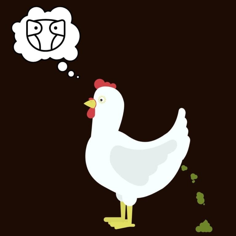 Graphic of chicken pooping and dreaming of a diaper