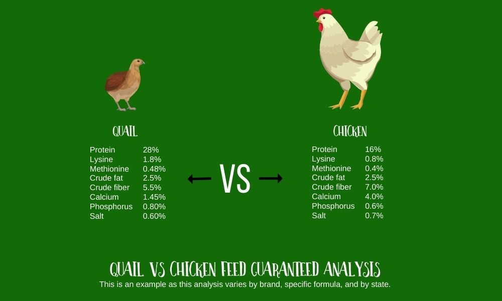 Quail feed vs Chicken feed graphic