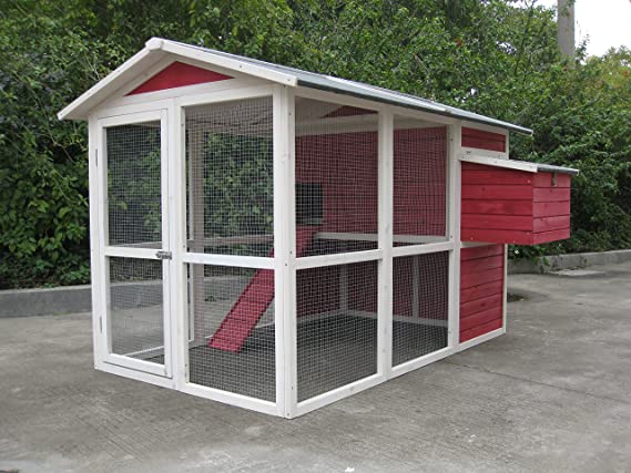 Coops & Feathers Large Chicken Coop