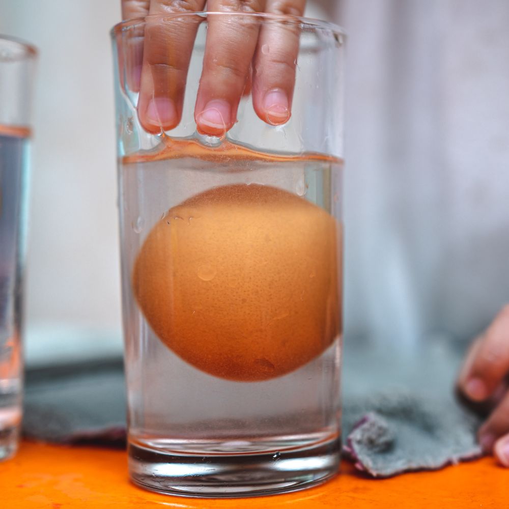 Egg in glass of water to perform egg float test