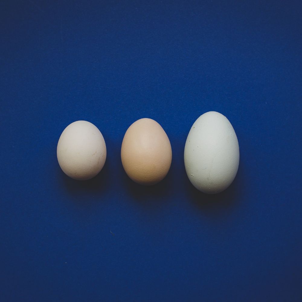 Three eggs of different sizes on all blue background