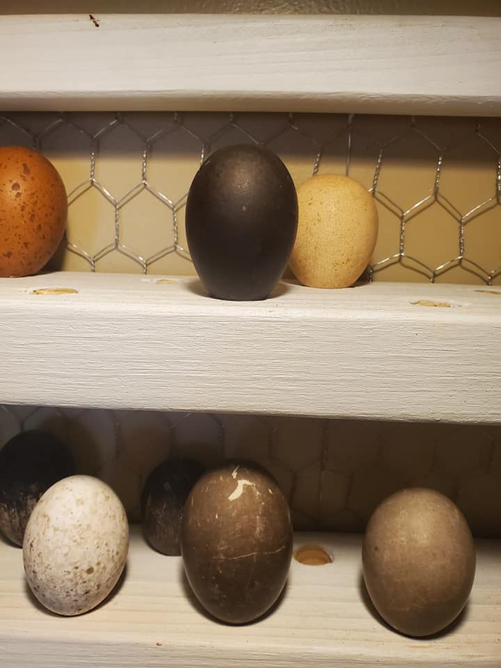 Black Egg FB