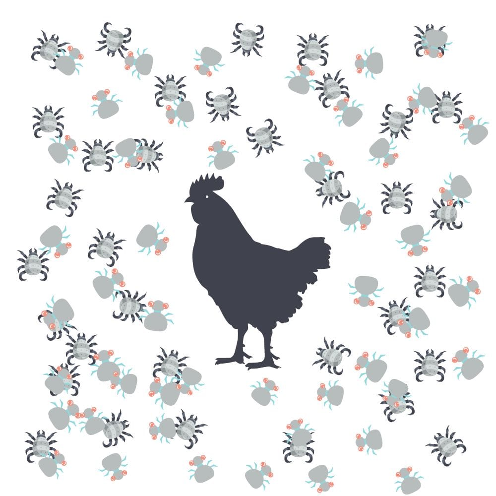 Chicken surrounded with mites illustration