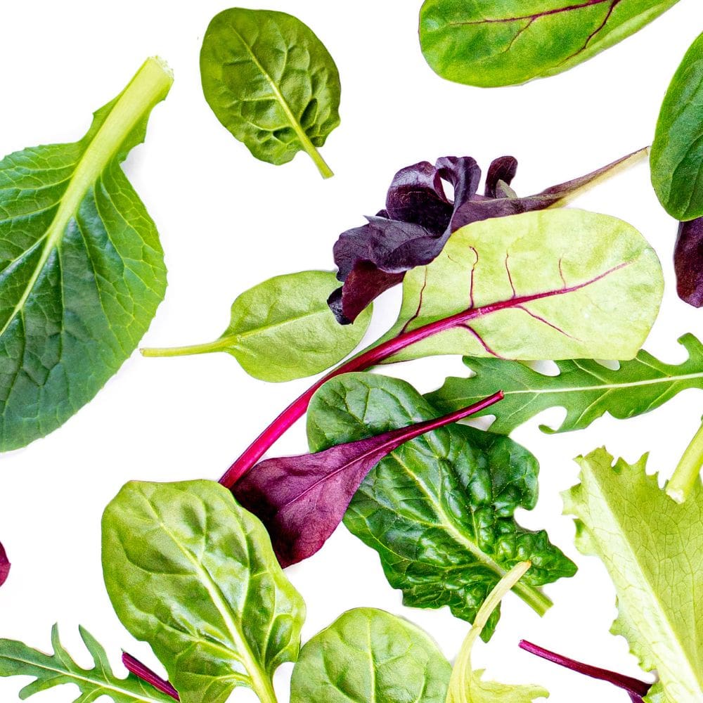 Mixed leafy greens with all white background