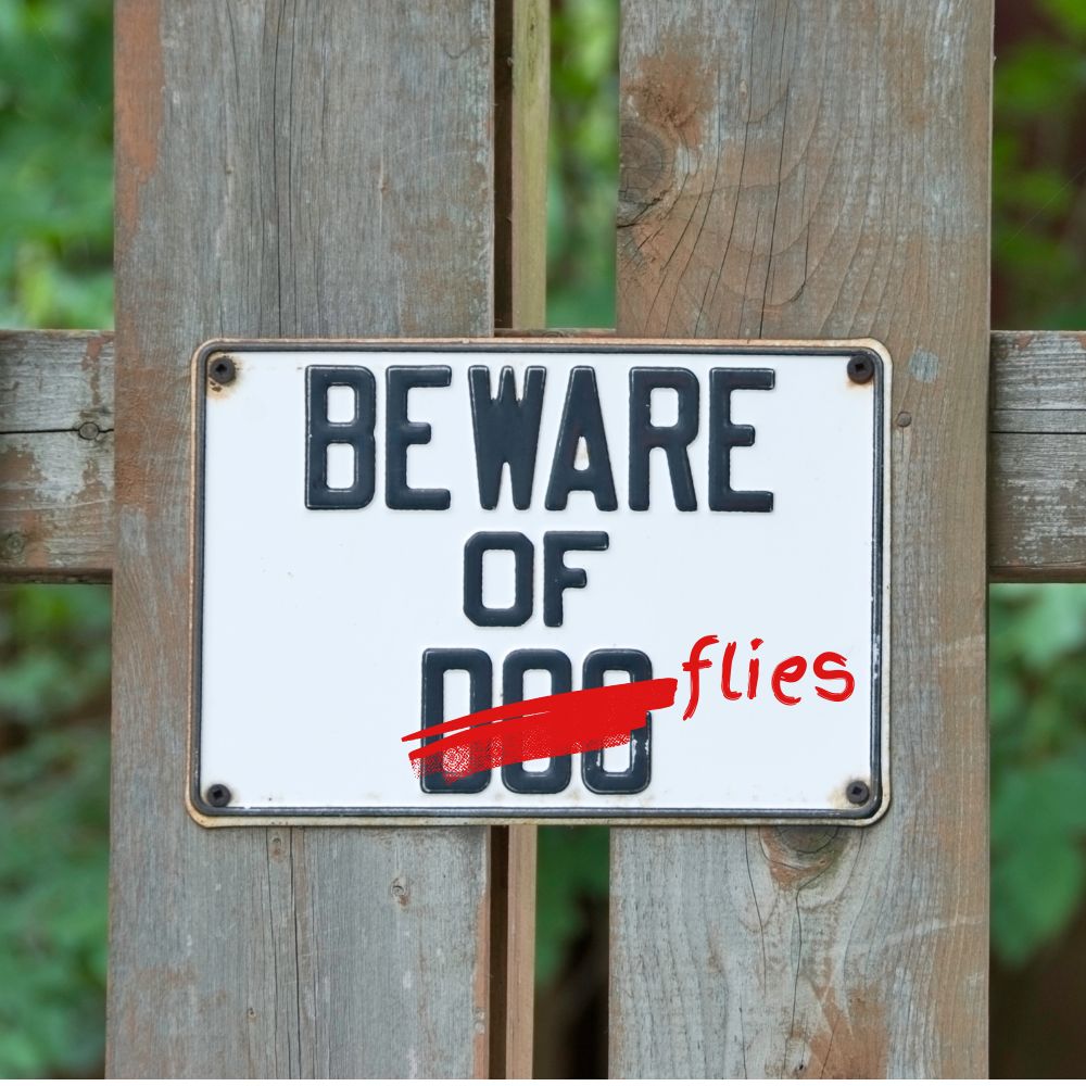 Beware of flies sign on a wooden fence
