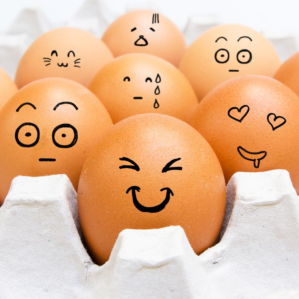 Chicken eggs with funny faces drawn on them