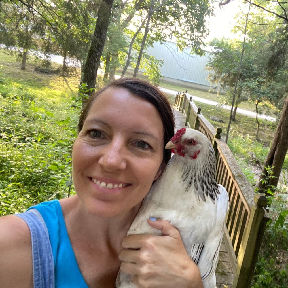 This girl is holding the King of all poultry, The Brahma Chicken. :  r/Damnthatsinteresting