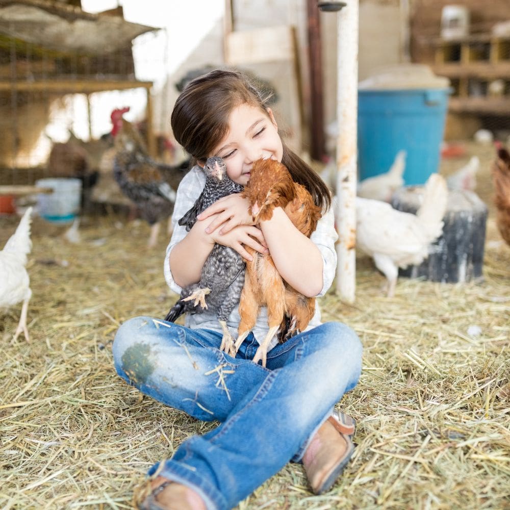 A young girl happily hugging two chickens while sitting in a coop