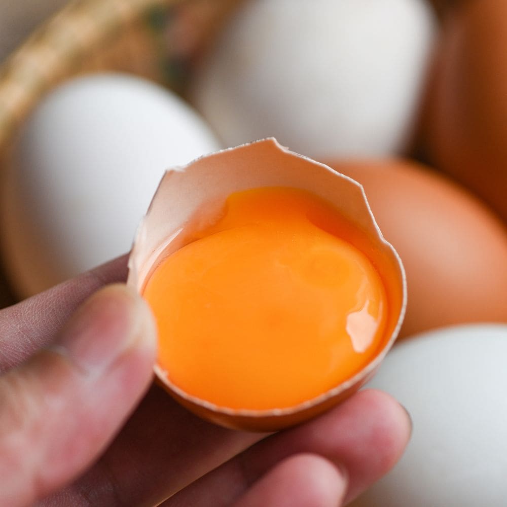 Can you change the color of egg yolks?