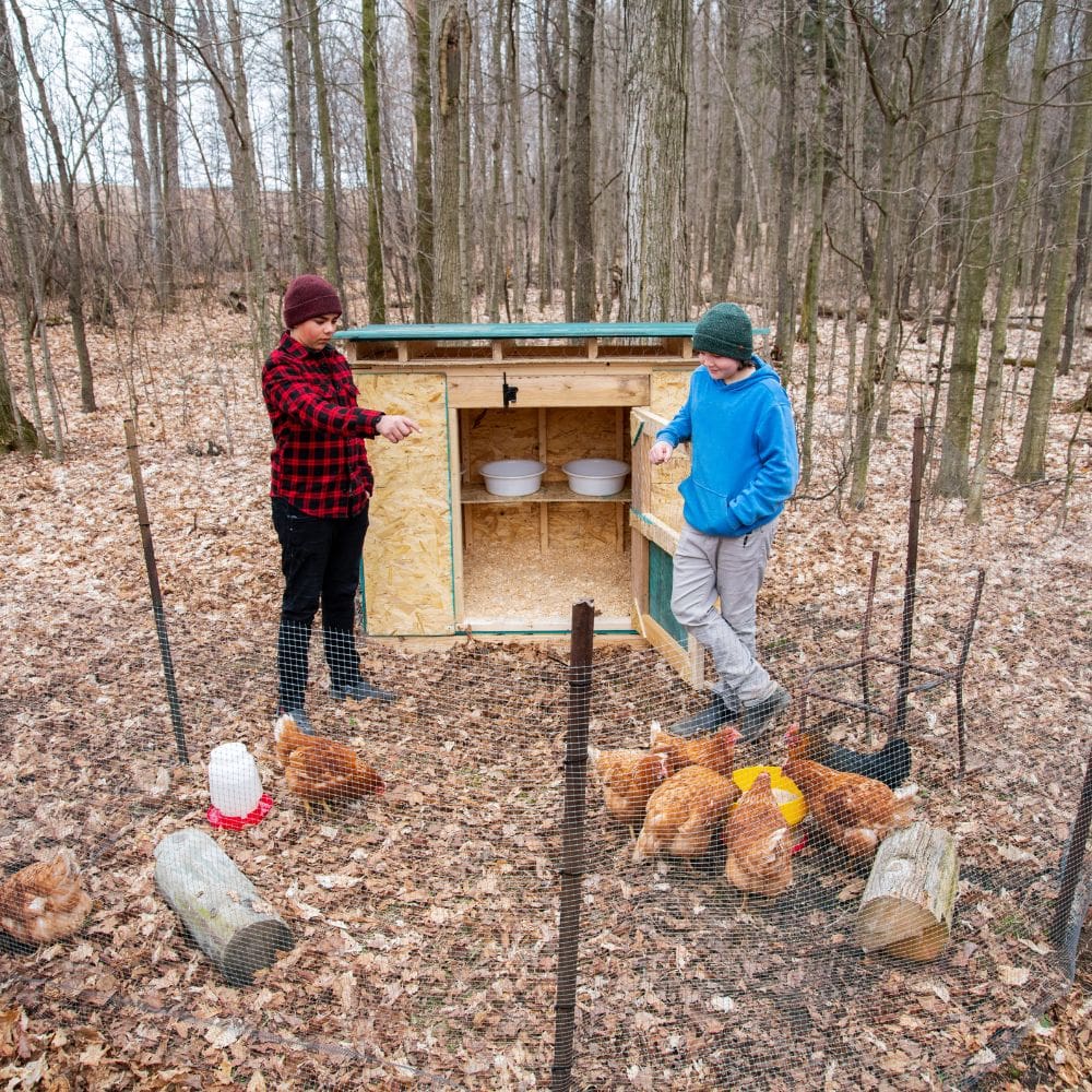 Two boys setting up a coop in the late fall