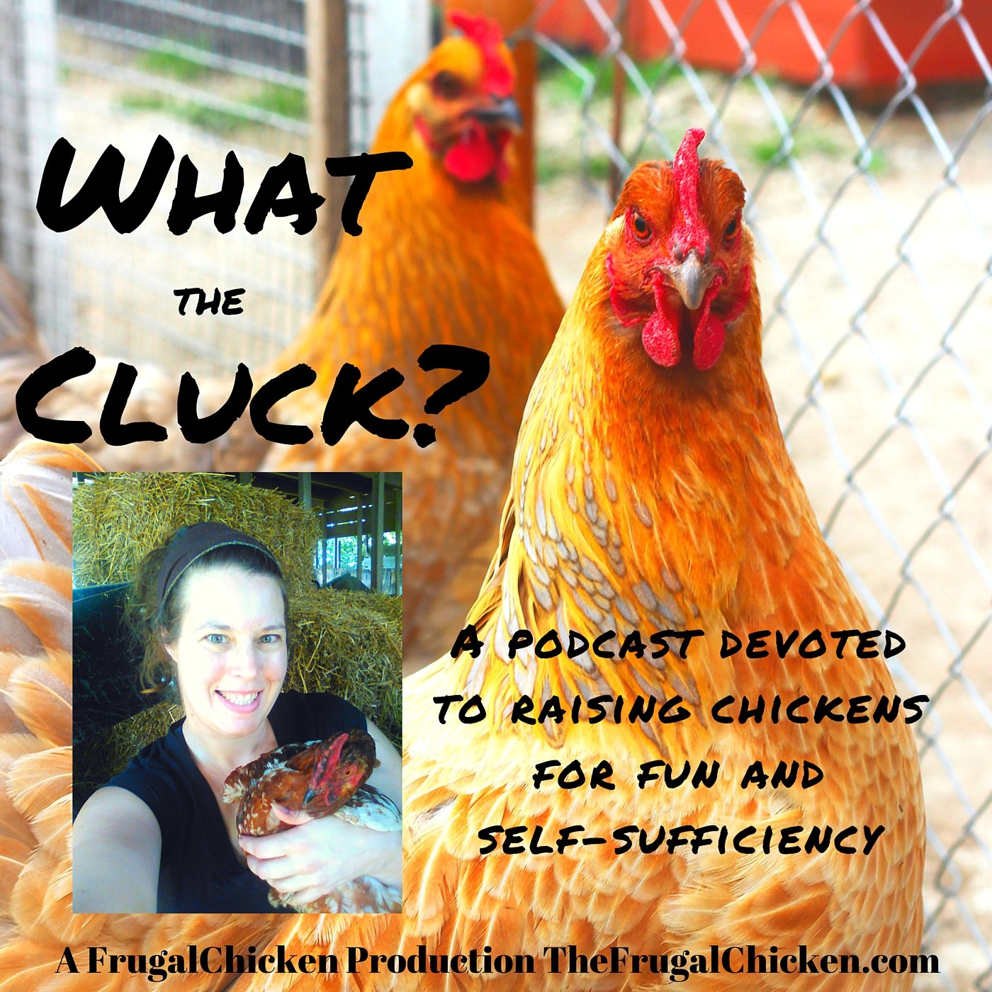 What The Cluck?! Raising Chickens For Fun And Self-Sufficiency